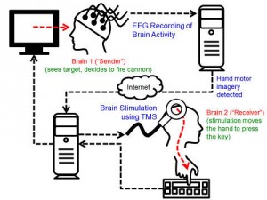 WashingtonBrainToBrain 480