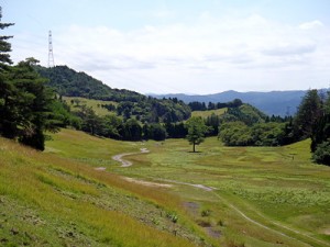 Kyocera 23MW solar farm site