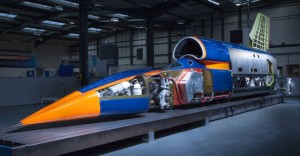 Bloodhound covers off
