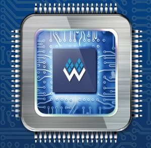 Gowin GW1N FPGA