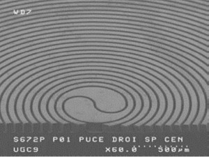 Leti NEMS chromatograph