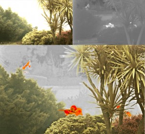 RFEL pseudo colour pixel depiction