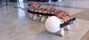Wormbot by Dr Jordan Boyle Leed University School of Mechanical Engineering