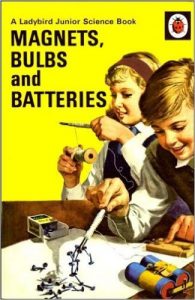 Ladybird Magnets Bulbs and Batteries from Amazon