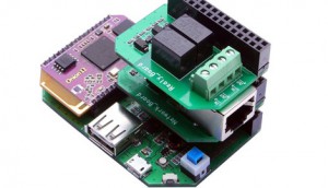 onion omega - original