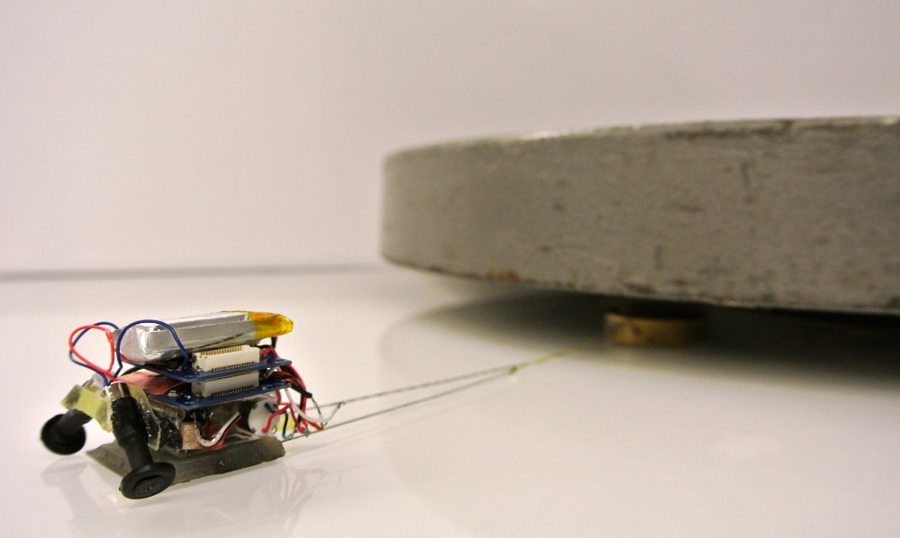 ant robot kit