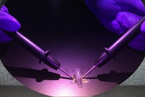 Gold wires on membrane credit Reyes-Hernandez NIST