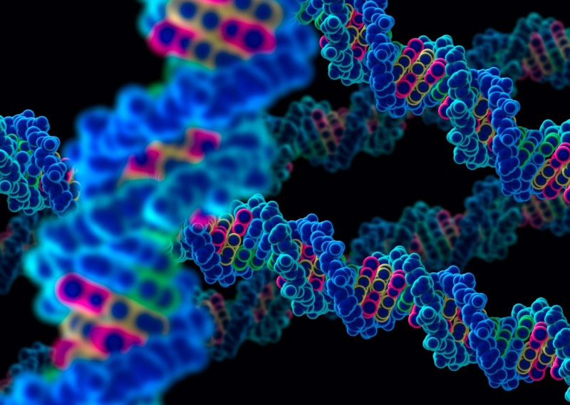 DNA sequencing can give everyone a passport DNA sequencing can give everyone a passport