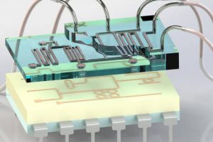 Exeter Baldycheva graphene microfluidics 468