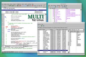 MULTI-for-Linux