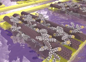 nanotube transistors UofGroningen Arjen Kamp