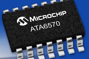 microchip-300x200.jpg