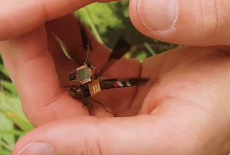 robotic dragonfly draper jpg