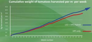 Plessey tomatoes graph