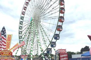 Vishay Wonderfair Wheel