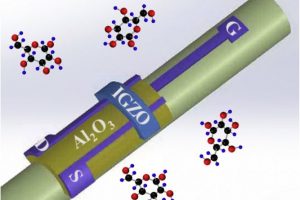 OSU-oxide-transistor-sensor