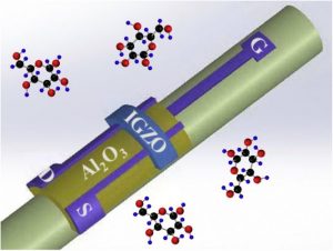 OSU-oxide-transistor-sensor