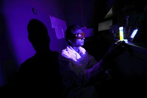 Toledo-Karunarathne-blue-light-research-by-Dan