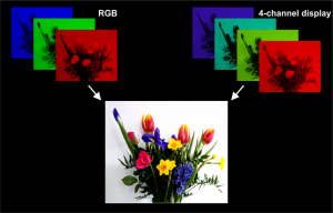 Manchester-RGB-RGCV-display