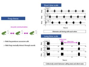 OsakaU-frog-based-coms-diag