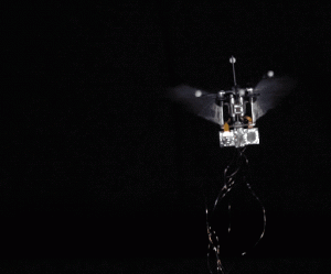 https://static.electronicsweekly.com/wp-content/uploads/2019/05/13142847/PurdueU-hummingbird-robot-crop.gif