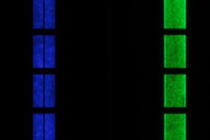 Plessy-native-green-and-blue-micro-led-display