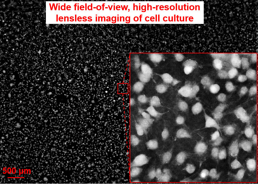 Lens-less microscope-on-a-chip | Electronics Weekly