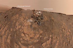 Curiosity-selfie-300x200.jpg