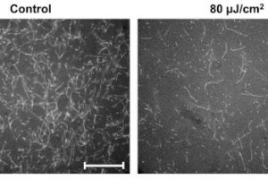 Riken THz radiation effect on skin