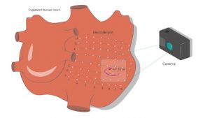 Skoltech-AF-drivers-mapping-camera