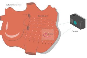 Skoltech-AF-drivers-mapping-camera