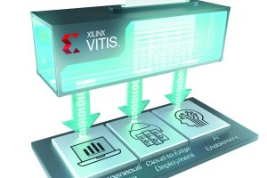 vitis-3d-300x200.jpg