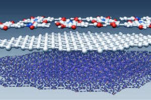 INRS-Rosei-Federico-Graphene