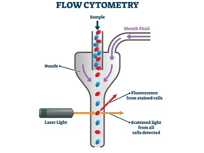 Imec to develop chip-based cytometer