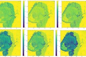 Leti-ir-spectrum-imaging