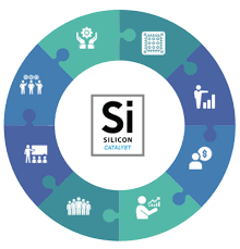 Si Catalyst adds university programme - Vimarsana News