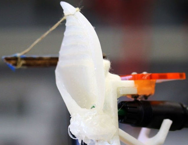 Bat ear biomimicry locates sound source to half a degree