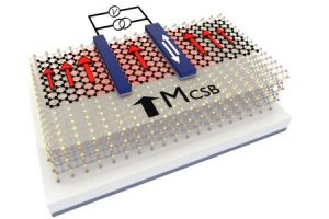 UofGroningen-spin-bilayer