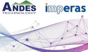 Andes Imperas RISC-V SIMD-DSP