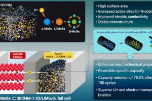 Korea Maritime Ocean U MnSe Li-ion cell