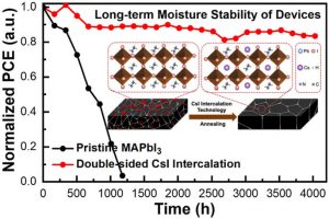 Kanazawa perovskite