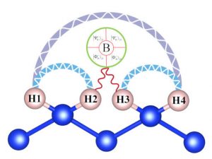 NagoyaCityU proton entangle