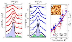 MonashU Fleet confirmation of Kondo effect via STM