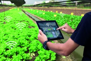 Figure-1-Soil-sensors2_large-300x200.jpg