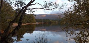 North - Loch Morlich