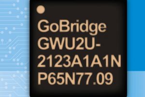 GoBridge