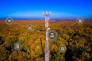 NXP pretty mobile phone tower in autumn forest. photo