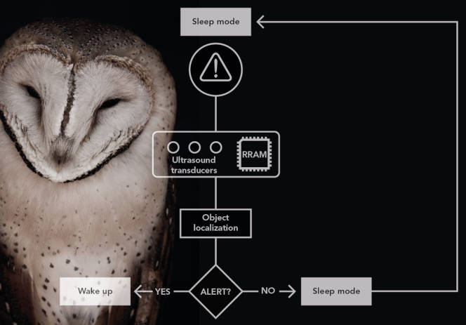 DELA DISCOUNT CEA-Leti-Owl-vision-664 Owl inspires neuromorphic computation power saving DELA DISCOUNT  