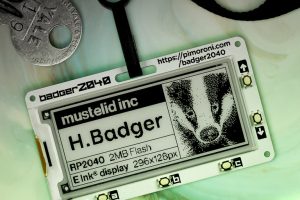 badger-2040-1_768x768-300x200.jpg