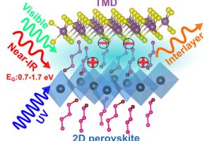 Monash 2d perovskite TDM heterostructure